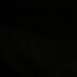 Meet your Posher, Neeluja